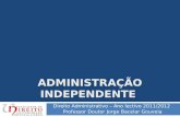 ADMINISTRAÇÃO INDEPENDENTE Direito Administrativo – Ano lectivo 2011/2012 Professor Doutor Jorge Bacelar Gouveia.