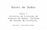 1 Bases de Dados Aula 1 História da Evolução de Arquivo de Dados; Sistema de Gestão de Ficheiros Docente: Fernanda Pedro.