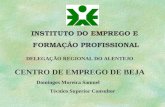 INSTITUTO DO EMPREGO E FORMAÇÃO PROFISSIONAL CENTRO DE EMPREGO DE BEJA DELEGAÇÃO REGIONAL DO ALENTEJO Domingos Moreira Samuel Técnico Superior Consultor.