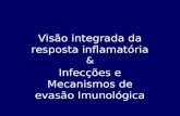 Visão integrada da resposta inflamatória & Infecções e Mecanismos de evasão Imunológica.