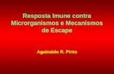 Resposta Imune contra Microrganismos e Mecanismos de Escape Aguinaldo R. Pinto.