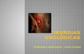Professora enfermeira : Carla Gomes. A cirurgia urológica envolve procedimentos realizados nos: rins, ureteres, bexiga, uretra órgãos genitais masculinos.