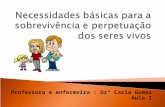 Professora e enfermeira : Drª Carla Gomes Aula I.