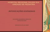 HOSPITAL REGIONAL DA ASA SUL UNIDADE DE PEDIATRIA INTOXICAÇÕES EXÓGENAS JULIANA QUEIROZ ARAUJO HRAS/SES/DF BRASÍLIA,JULHO 2004.