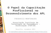 O Papel da Capacitação Profissional no Desenvolvimento dos APL FREDERICO MONTENEGRO Associação Instituto de Tecnologia de Pernambuco – Associação ITEP/OS.