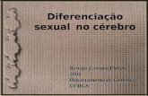 Diferenciação sexual no cérebro Renato Zamora Flores 2004 Departamento de Genética, UFRGS.