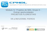 Módulo IV: Projetos de MDL Grupo 5 - Outras oportunidades PROJETOS FLORESTAIS 04 a 06/12/2006, FIERGS.