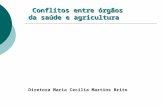 Conflitos entre órgãos da saúde e agricultura Conflitos entre órgãos da saúde e agricultura Diretora Maria Cecília Martins Brito.