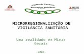 MICRORREGIONALIZAÇÃO DE VIGILÂNCIA SANITÁRIA Uma realidade em Minas Gerais -2008-