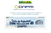 Divisão de Gestão de Títulos Minerários do DNPM/ES Eng. de Minas Antônio Camilo Cruz Júnior.