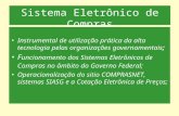Sistema Eletrônico de Compras Instrumental de utilização prática da alta tecnologia pelas organizações governamentais; F uncionamento dos Sistemas Eletrônicos.