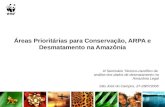 Áreas Prioritárias para Conservação, ARPA e Desmatamento na Amazônia III Seminário Técnico-científico de análise dos dados de desmatamento na Amazônia.