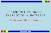 ESTRUTURA DE DADOS EXERCÍCIOS e MATRIZES Professor Victor Sotero Estrutura de Dados 1.