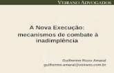 A Nova Execução: mecanismos de combate à inadimplência Guilherme Rizzo Amaral guilherme.amaral@veirano.com.br.