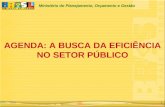 Ministério do Planejamento, Orçamento e Gestão 1 AGENDA: A BUSCA DA EFICIÊNCIA NO SETOR PÚBLICO.