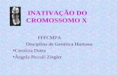 FFFCMPA Disciplina de Genética Humana Carolina Dutra Ângela Piccoli Ziegler INATIVAÇÃO DO CROMOSSOMO X.