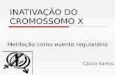 INATIVAÇÃO DO CROMOSSOMO X Metilação como evento regulatório Cássio Santos.