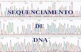 SEQUENCIAMENTO DE DNA. TÉCNICA PRÁTICA MÉDICA HOJE FUTURO.