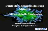Ponto de Checagem do Fuso Mitótico (Mitotic Spindle Checkpoint) Monitora Niara Oliveira Disciplina de Genética Humana.