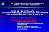 RISCO OCUPACIONAL: SANGUE E SECREÇÕES ALEX M. DE BARROS NUNES (Disciplina de Infectologia Pediátrica da UNIFESP/EPM) MAGALY CECÍLIA F. REICHERT (Profa.