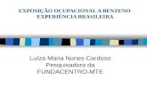 EXPOSIÇÃO OCUPACIONAL A BENZENO EXPERIÊNCIA BRASILEIRA Luíza Maria Nunes Cardoso Pesquisadora da FUNDACENTRO-MTE.