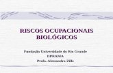 RISCOS OCUPACIONAIS BIOLÓGICOS Fundação Universidade do Rio Grande DPRAMA Profa. Alessandra Zille.