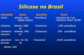 Silicose no Brasil Atividade Autor Desenho Taxas Várias Mendes, 1978 Prevalência estimativa do nº de Região Sudeste silicóticos: Brasil- 30.000 Cerâmica.