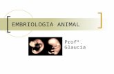 EMBRIOLOGIA ANIMAL Profª. Glaucia. Introdução Embriogênese = embryon – embrião; genesis – origem Desenvolvimento embrionário é dividido em três partes:
