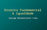 Direito Fundamental à Igualdade George Marmelstein Lima.