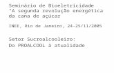Seminário de Bioeletricidade A segunda revolução energética da cana de açúcar INEE, Rio de Janeiro, 24-25/11/2005 Setor Sucroalcooleiro: Do PROALCOOL à
