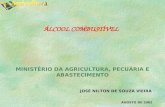 ÁLCOOL COMBUSTÍVEL MINISTÉRIO DA AGRICULTURA, PECUÁRIA E ABASTECIMENTO JOSÉ NILTON DE SOUZA VIEIRA AGOSTO DE 2002.