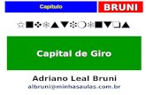 BRUNI Capítulo Capital de Giro Investimentos Adriano Leal Bruni albruni@minhasaulas.com.br.