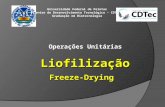 Operações UnitáriasLiofilizaçãoFreeze-Drying Universidade Federal de Pelotas Centro de Desenvolvimento Tecnológico – CDTec Graduação em Biotecnologia.