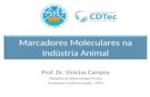 Marcadores Moleculares na Indústria Animal Prof. Dr. Vinicius Campos Disciplina de Biotecnologia Animal Graduação em Biotecnologia - UFPel.