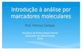 Introdução à análise por marcadores moleculares Prof. Vinicius Campos Disciplina de Biotecnologia Animal Graduação em Biotecnologia UFPel.