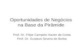 Oportunidades de Negócios na Base da Pirâmide Prof. Dr. Filipe Campelo Xavier da Costa Prof. Dr. Gustavo Severo de Borba.