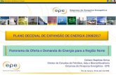 Rio de Janeiro, 29 de abril de 2009 Gelson Baptista Serva Diretor de Estudos de Petróleo, Gás e Biocombustíveis Empresa de Pesquisa Energética - EPE PLANO.