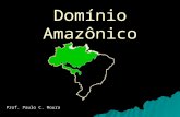 Domínio Amazônico Prof. Paulo C. Moura. Amazônia Amazônia, ampla região natural que se estende entre o maciço das guianas e o planalto brasileiro, e desde.