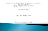 UNIJUÍ – Universidade Regional do Noroeste do Estado do Rio Grande do Sul Ciência Política e Teoria do Estado Professor Dejalma Cremonese Fabiana Camargo.