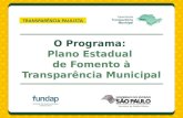 O Programa: Plano Estadual de Fomento à Transparência Municipal.