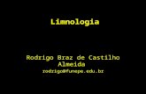 Limnologia Rodrigo Braz de Castilho Almeida rodrigo@funepe.edu.br.