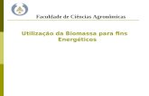 Utilização da Biomassa para fins Energéticos Faculdade de Ciências Agronômicas.