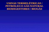 USINAS TERMELÉTRICAS / PETRÓLEO E GÁS NATURAL BIODIGESTORES / BIOGÁS.