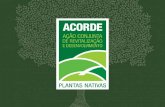 HISTÓRICO Concebido como uma Ação Conjunta, coordenada pela Secretaria de Estado do Planejamento, o Projeto ACORDE Plantas Nativas foi elaborado, durante.