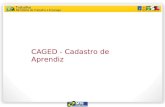 1 CAGED - Cadastro de Aprendiz. 2 1. Acessando o aplicativo ACI.
