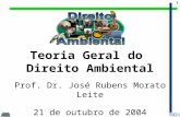 1 Teoria Geral do Direito Ambiental Prof. Dr. José Rubens Morato Leite 21 de outubro de 2004.