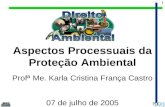 1 Aspectos Processuais da Proteção Ambiental Profª Me. Karla Cristina França Castro 07 de julho de 2005.