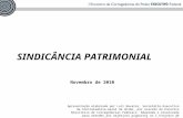 SINDICÂNCIA PATRIMONIAL Novembro de 2010 Apresentação elaborada por Luiz Navarro, Secretário-Executivo da Controladoria- Geral da União, por ocasião do.