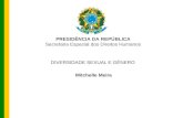 PRESIDÊNCIA DA REPÚBLICA Secretaria Especial dos Direitos Humanos DIVERSIDADE SEXUAL E GÊNERO Mitchelle Meira.