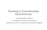 Shading e Coordenadas Baricêntricas Computação Gráfica Luiz Marcos Garcia Gonçalves lmarcos/courses/compgraf.
